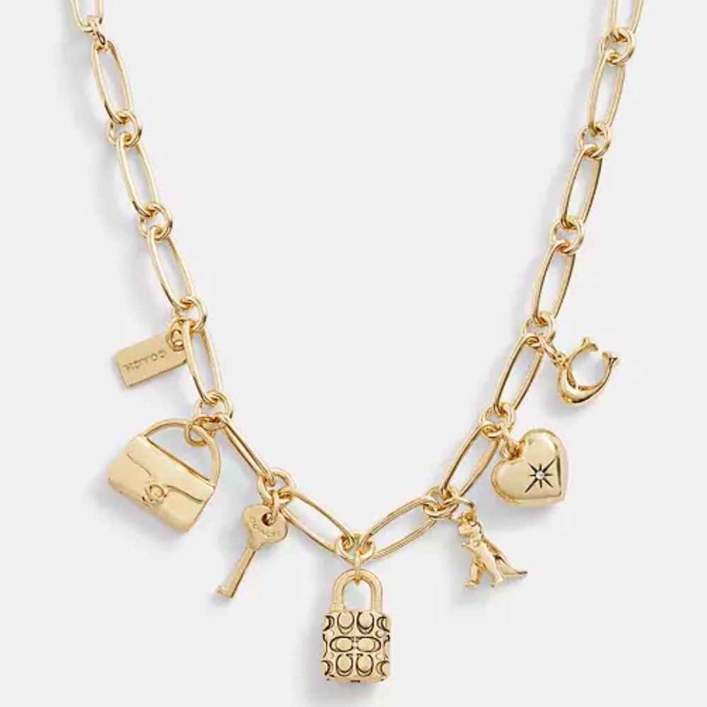Coach Iconic Charm Chain Necklace nwt; sold out online